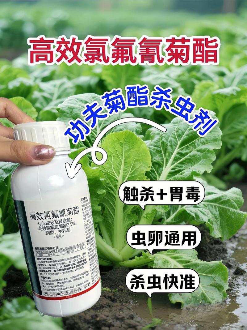 宝山代生中心:农药对供卵代生妈妈的危害